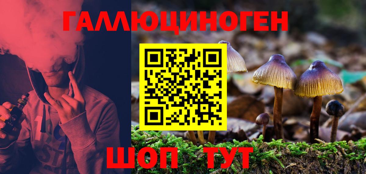 Галлюциногенные грибы MAGIC MUSHROOMS Амурск